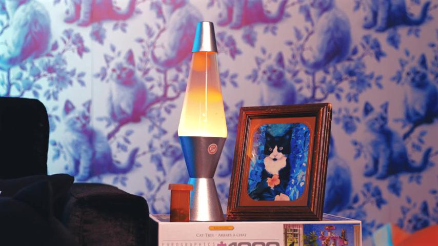 御三家Game-视频-【御三家Game】《Meowingtons Simulator 》游戏宣传片