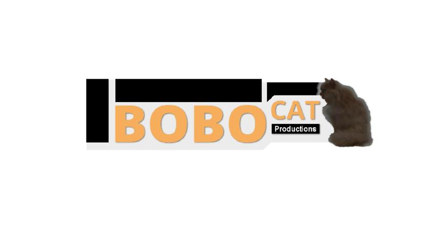 御三家Game-视频-【御三家Game】《Bobo猫 》游戏宣传片