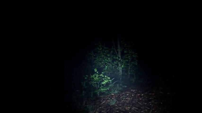 御三家Game-视频-【御三家Game】《Exanimum:无声的呼唤 》游戏宣传片