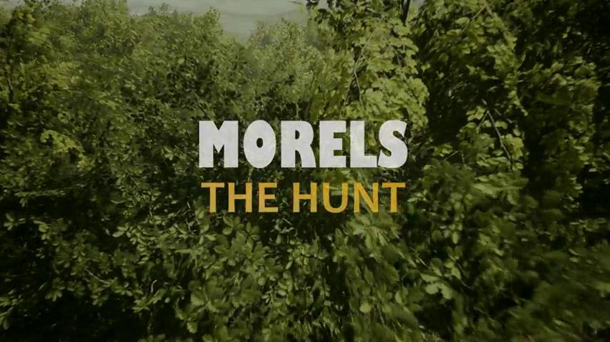 御三家Game-视频-【御三家Game】《羊肚菌：狩猎 》游戏宣传片