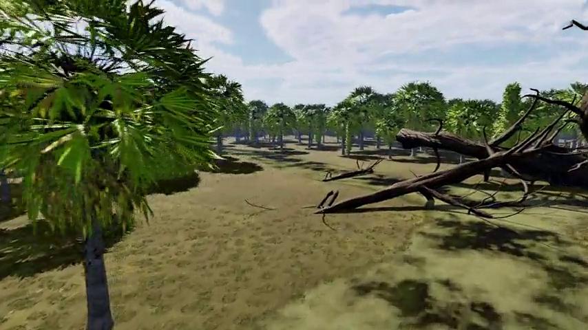 御三家Game-视频-【御三家Game】《Pau e Pedra 》游戏宣传片