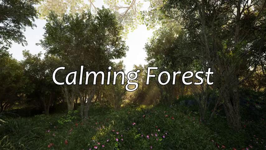 御三家Game-视频-【御三家Game】《平静的森林 》游戏宣传片