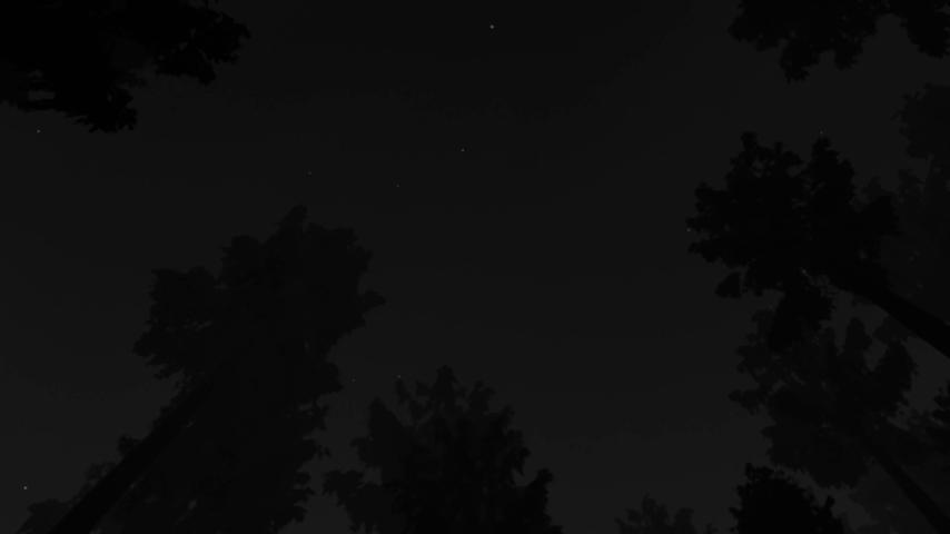 御三家Game-视频-【御三家Game】《绿草 》游戏宣传片