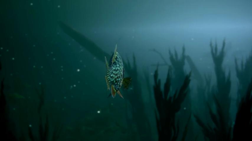 御三家Game-视频-【御三家Game】《终极钓鱼模拟器2 》游戏宣传片