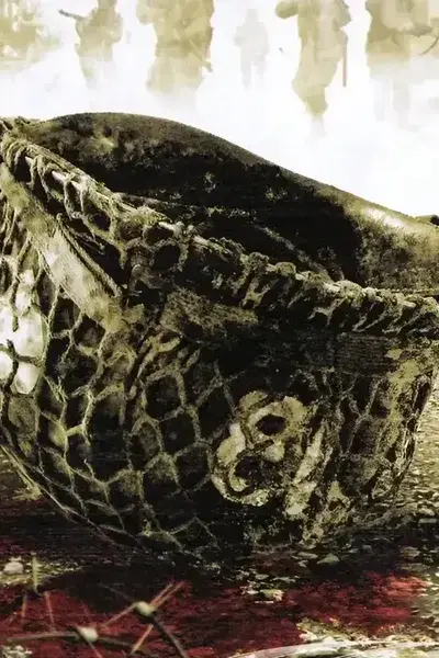 Brothers in Arms: Earned in Blood