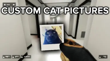 定制猫咪图片