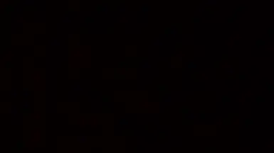 绝对是霰弹枪射击