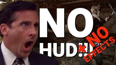 无HUD-无效果