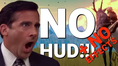 无HUD-无效果