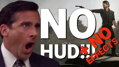 无HUD-无效果