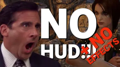 无HUD-无效果