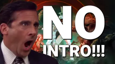 无开场（跳过启动 - Splash 视频）