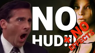 无HUD-无效果