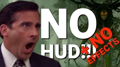 无HUD-无效果