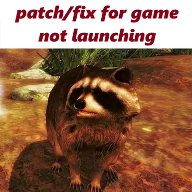 游戏无法启动的补丁