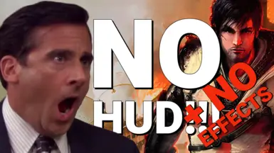 无HUD-无效果