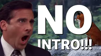 无开场(跳过启动 - Splash 视频)