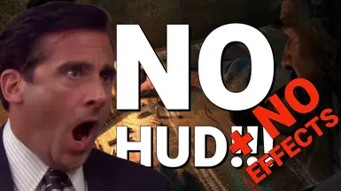 无HUD-无效果