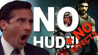 无HUD-无效果