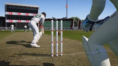 阿尔法拉白树桩