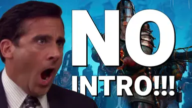 无开场(跳过启动 - Splash 视频)