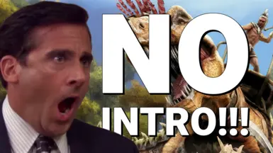 无开场(跳过启动 - Splash 视频)