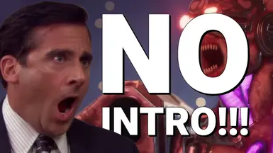 无开场(跳过启动 - Splash 视频)