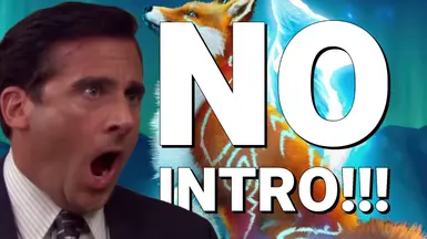 无开场(跳过启动 - Splash 视频)