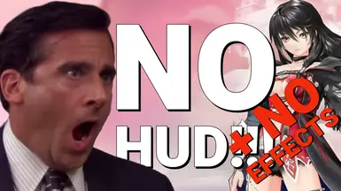 无HUD-无效果