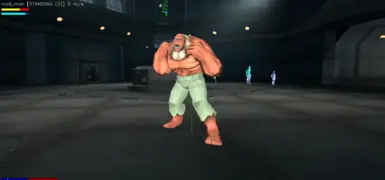 （PC）疯狂流动者的招式