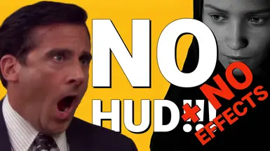 无HUD-无效果