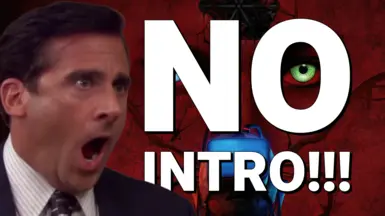 无开场（跳过启动 - Splash 视频）