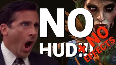 无HUD-无效果