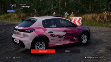 Peugeot_2020_208_Rally4-默认涂装-樱变体