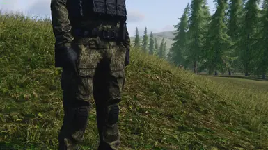 迷彩 - 俄罗斯电子病历夏季