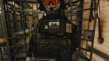 棕褐色威尔士旗臂章