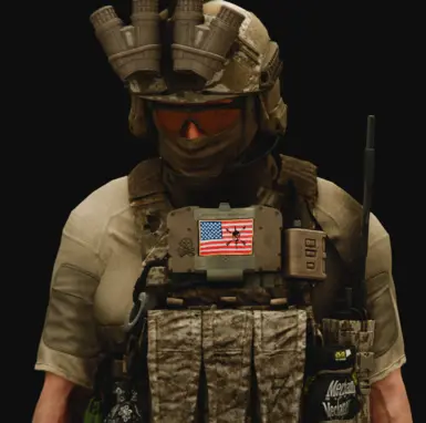 旧金山突击手臂章