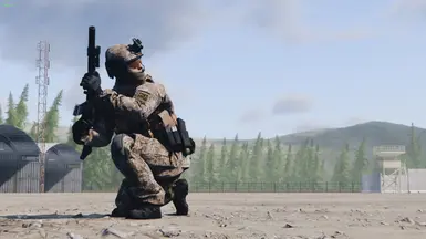 迷彩 - 俄罗斯EMR秋季