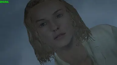 彼得·杰克逊金刚玩家版（PrincePack 模组 ReShade）v1.0 由 OsamaEid 开发