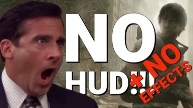 无HUD-无效果