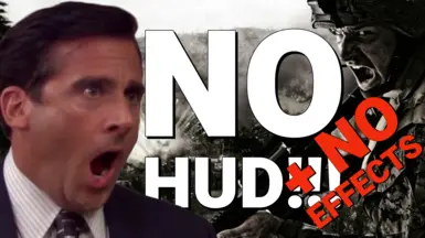 无HUD-无效果
