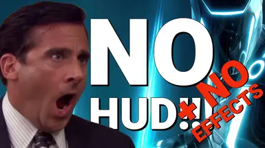 无HUD-无效果