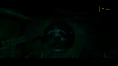 永远赤脚的朱莉娅