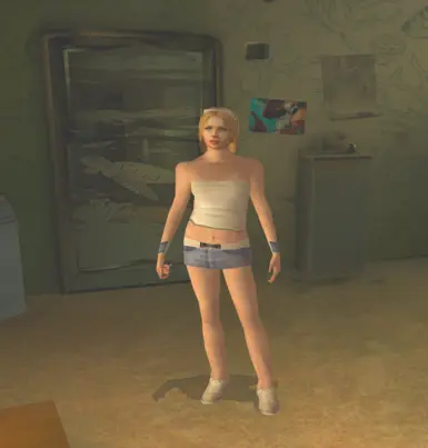 海浪沿香农河上游