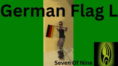 德国L旗