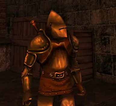 萨尔贡的胡恩斯库尔——中世纪盔甲