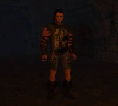 骑士马克西姆斯皮肤（TomTriffic制作）