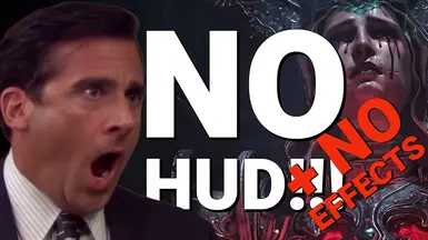 无HUD-无效果