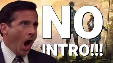 无开场(跳过启动 - Splash 视频)