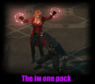 IW 一包